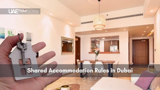 A hand holding a house-shaped key in front of a well-lit, modern apartment, illustrating shared accommodation rules.